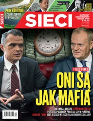 Okładka Sieci