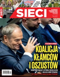 Okładka Sieci