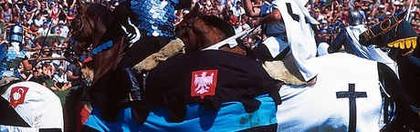 Dodatek specjalny - Bitwa pod Grunwaldem 