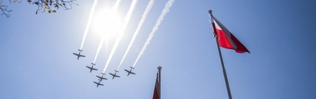 Fijołek: Pluszowi męczennicy III RP 