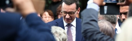 Fijołek w "Sieci": Wakacje bez zadyszki