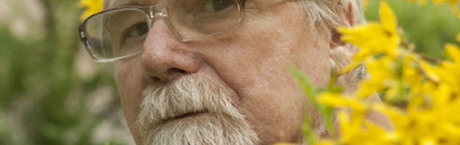 Głupota nie tylko Brunona K.