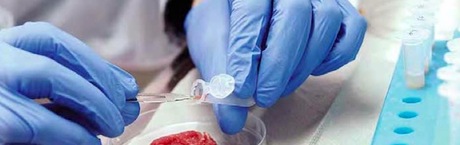 Jak fałszują żywność? Czy wiesz co jesz?