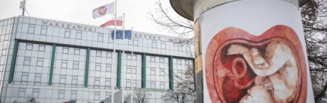 Łosiewicz: Billboardowa akcja wzbudza wściekłość