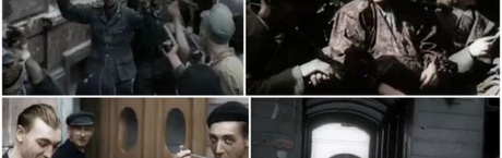 Młode pokolenie konserwatywne