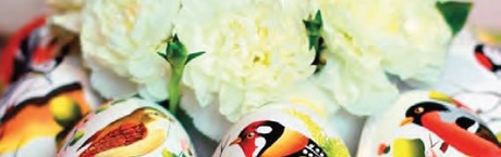 Najważniejsze jest jajo