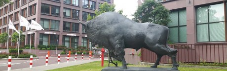 Priorytet – bezpieczeństwo finansowe Polaków