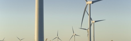 Prof. Szyszko: Była presja Zachodu w kwestii farm wiatrowych