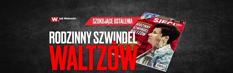 Sieci: Chłopcy lewicy i wojna feministek