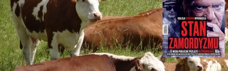 „Sieci”: Krowy w maskach