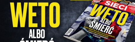 "Sieci": Lepienie maczugi