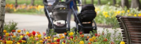 "Sieci": Nie bójcie się wychowywać swoich dzieci! 