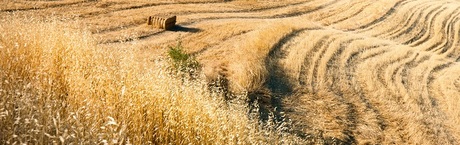 Skandal z dopłatami dla rolników