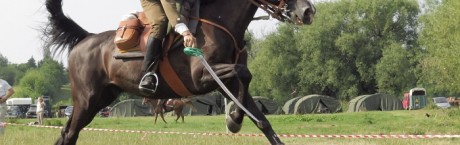 Szable, lance i amerykańskie strykery w Hrubieszowie