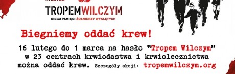 Tropem Wilczym. Biegniemy oddać krew!