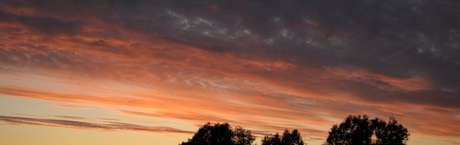 Tusk kłamie rano, wieczorem i w nocy