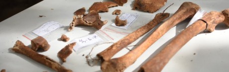 W "Sieci": Kolekcjoner kości