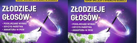 "wSieci": Złodzieje głosów!