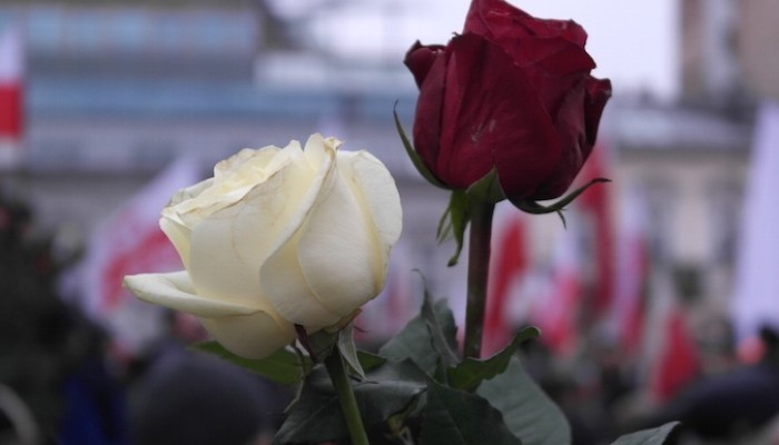 Różana nawałnica w Warszawie