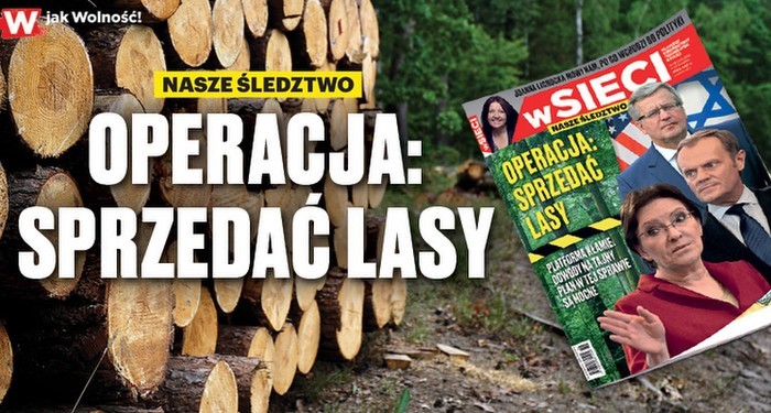 Tylko we „wSieci” – operacja: sprzedać lasy