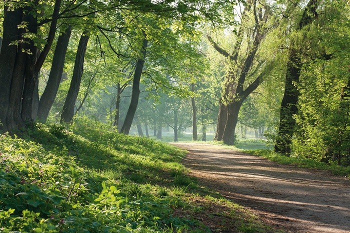 Więcej ciepła, a mniej smogu