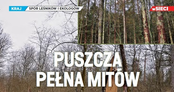 "wSieci": Puszcza pełna mitów