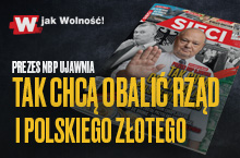 Budzisz: Polska broń na Ukrainie