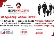 Tropem Wilczym. Biegniemy oddać krew!