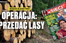 Tylko we „wSieci” – operacja: sprzedać lasy