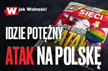 W najnowszym ,,Sieci”: Jak PO przegrała walkę z mafiami